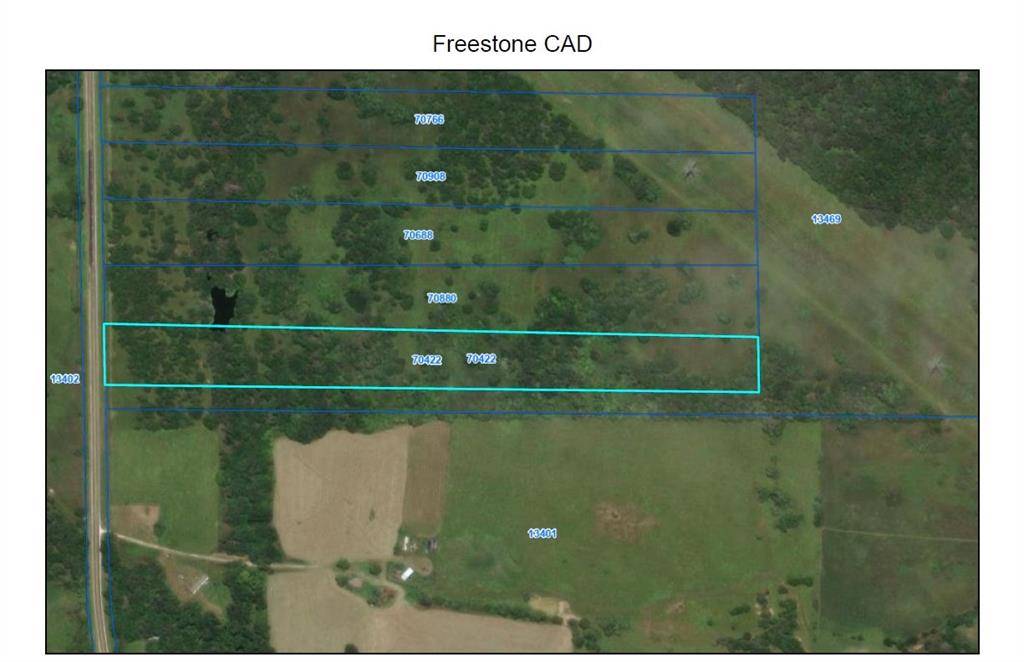 Tract 13 FM 1366, Wortham, TX 76693