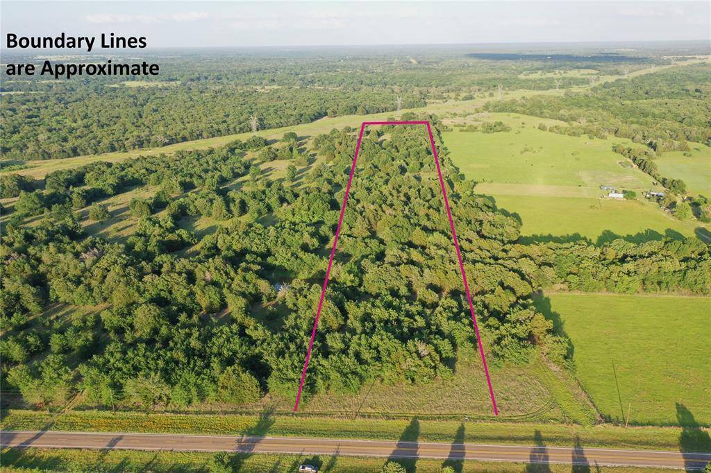 Tract 13 FM 1366, Wortham, TX 76693