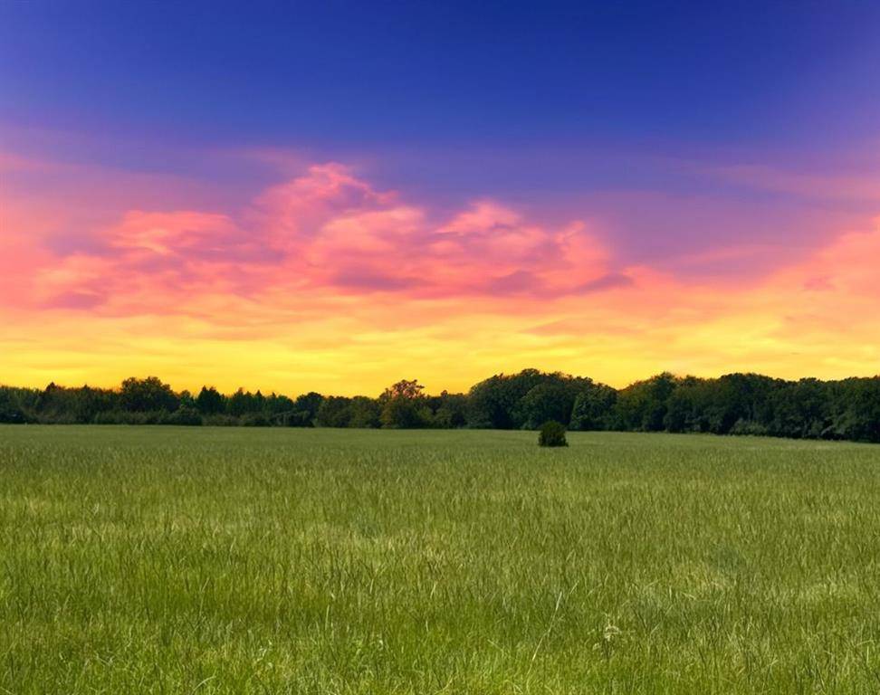 12675 County Road 2922, Eustace, TX 75124