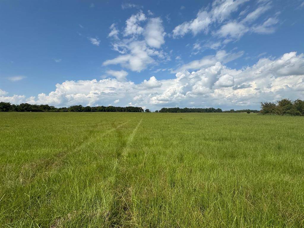 12675 County Road 2922, Eustace, TX 75124