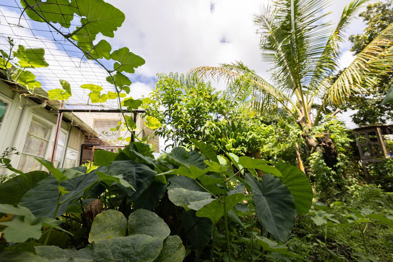 74 MAIKAI ST, Hilo, HI 96720