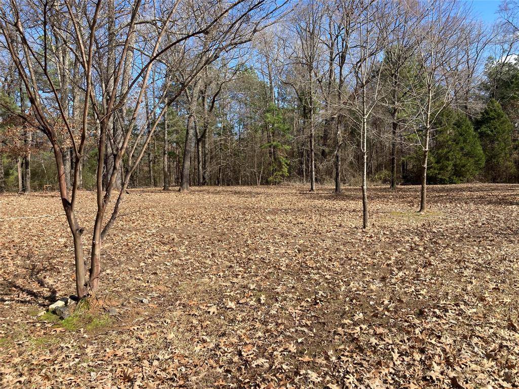 9515 Caddo Lake Road, Mooringsport, LA 71060