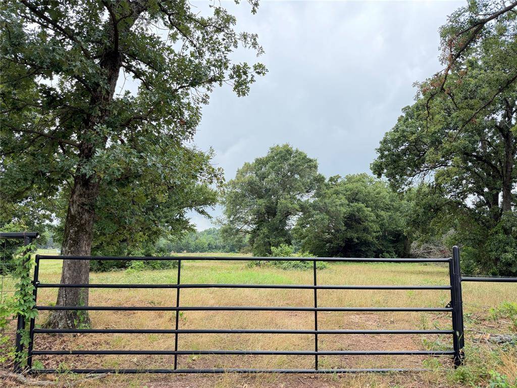 TBD Fm 1000, Cookville, TX 75558