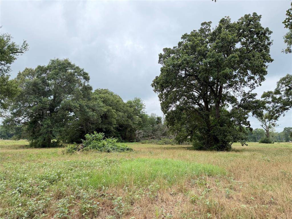 TBD Fm 1000, Cookville, TX 75558