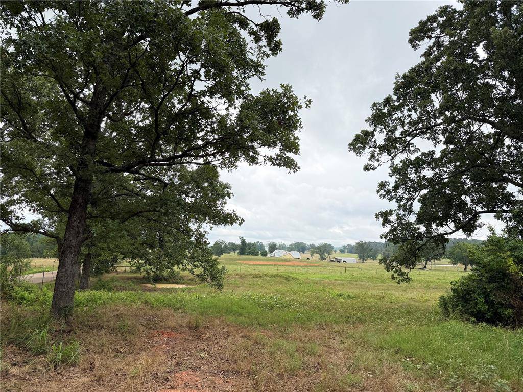 TBD Fm 1000, Cookville, TX 75558
