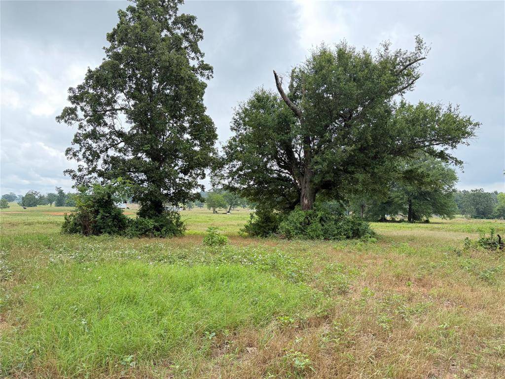 TBD Fm 1000, Cookville, TX 75558