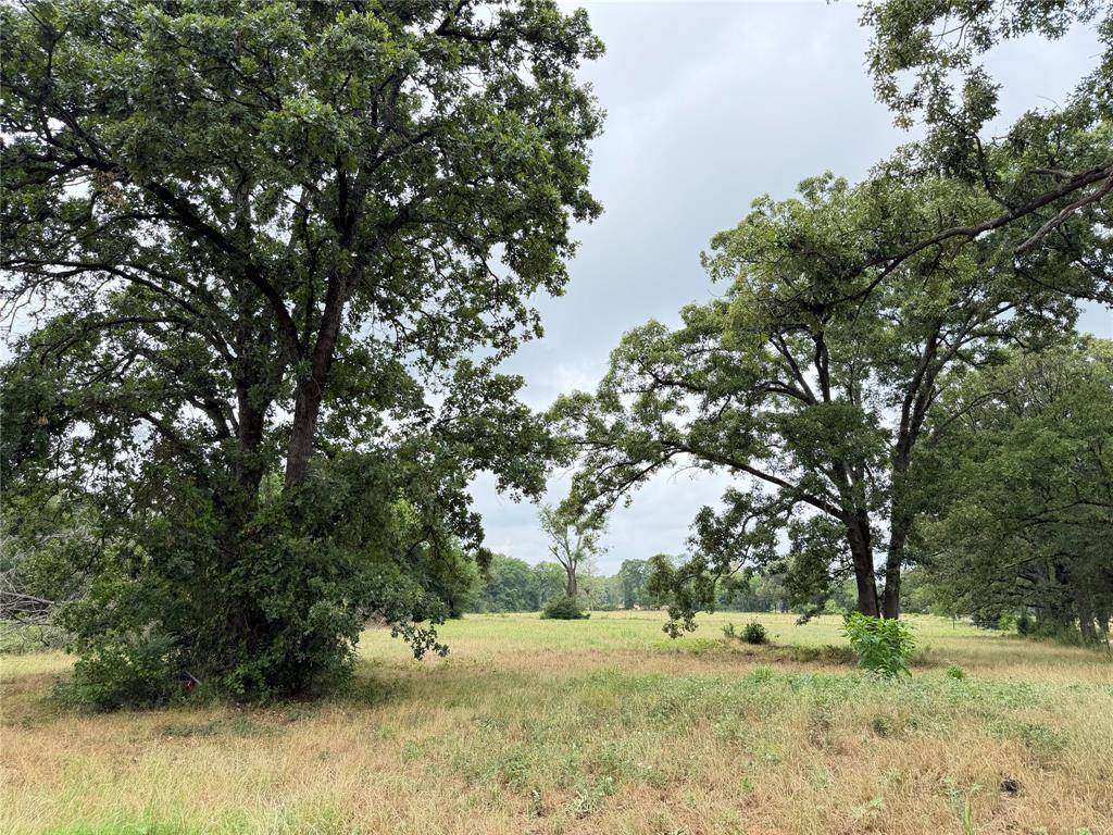 TBD Fm 1000, Cookville, TX 75558