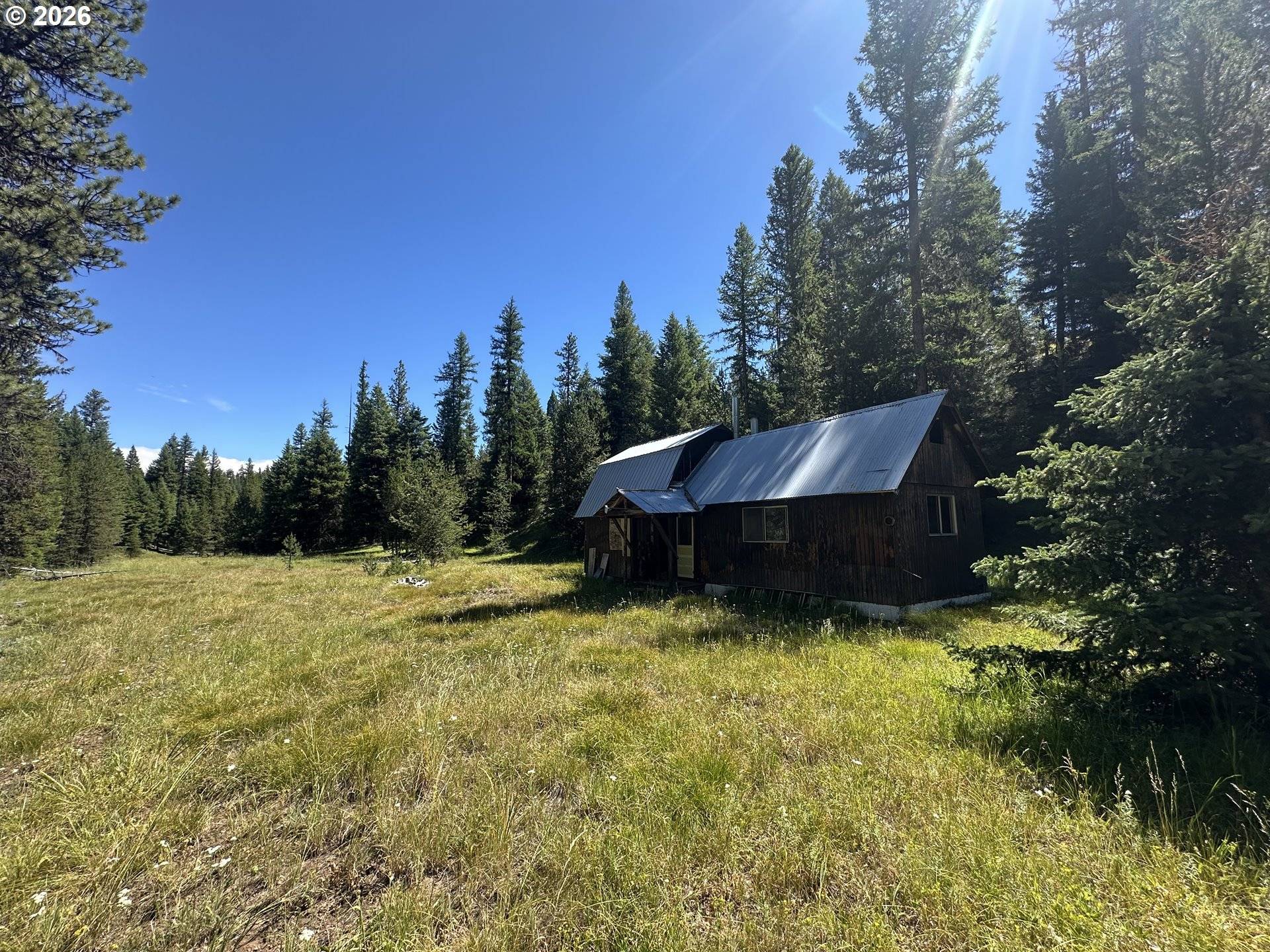 57034 USFS 21 RD, Starkey, OR 97850
