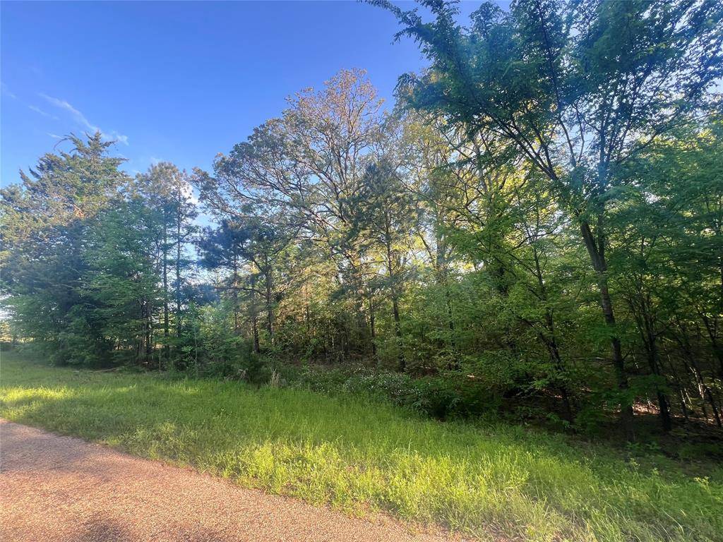 00 CR 1755, Mount Pleasant, TX 75455