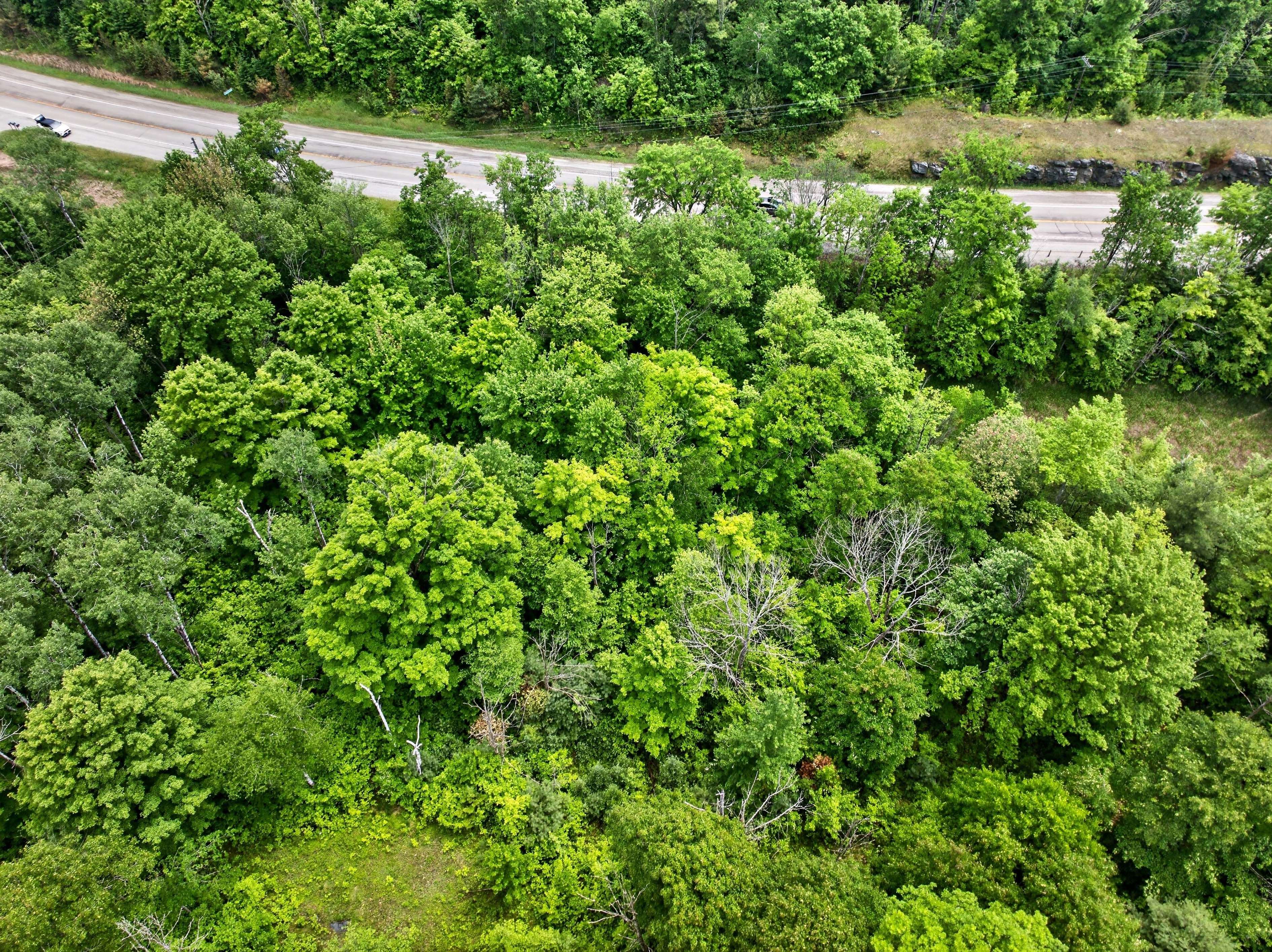 PT LT 20 Highway 7 N/A, Frontenac, ON K0H 0B6