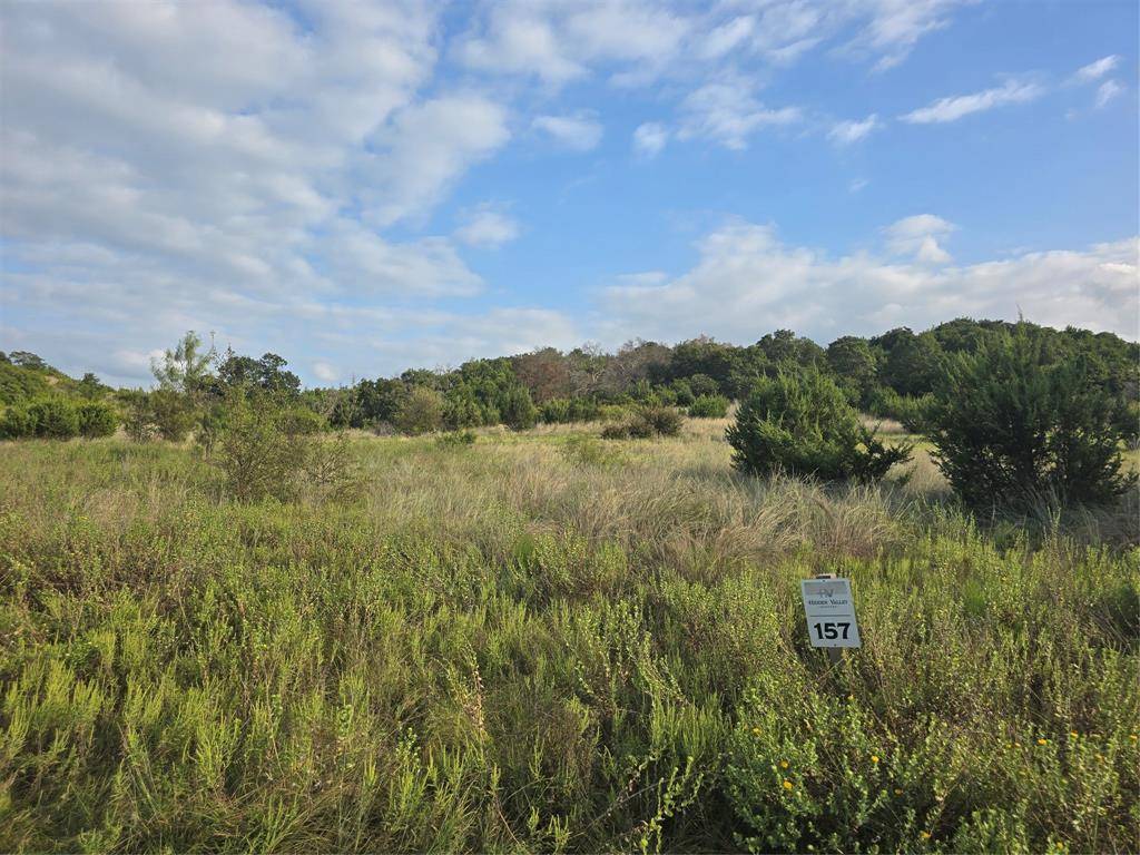 2277 Hidden Valley Road, Glen Rose, TX 76043