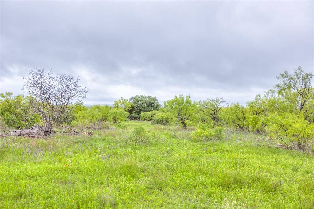 N/A HWY 36, Baird, TX 79504