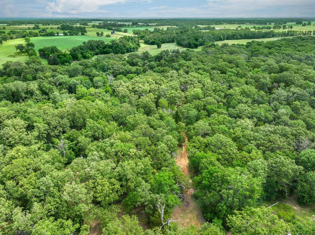 950 VZ County Road 1919, Fruitvale, TX 75127