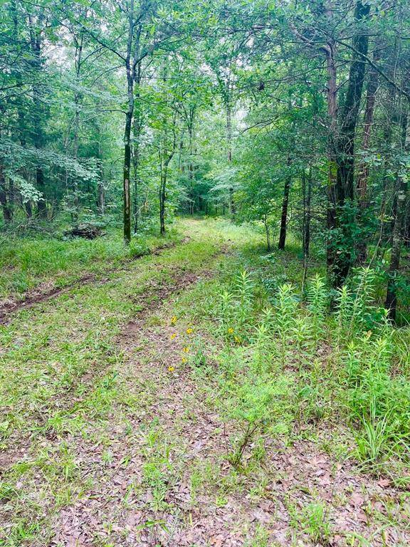950 VZ County Road 1919, Fruitvale, TX 75127