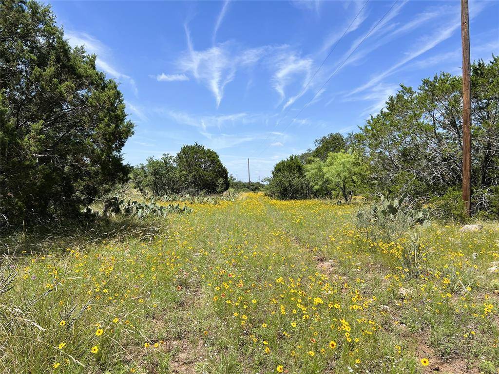 12493 County Road 222, Brookesmith, TX 76827