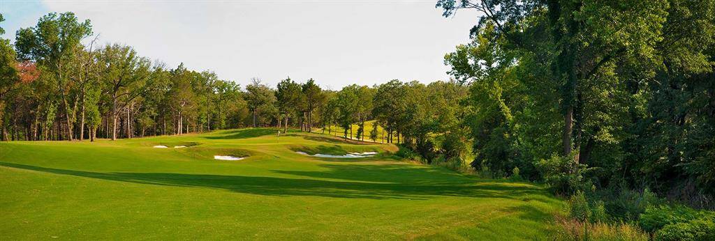 205 Wing Haven Court, Gordonville, TX 76245