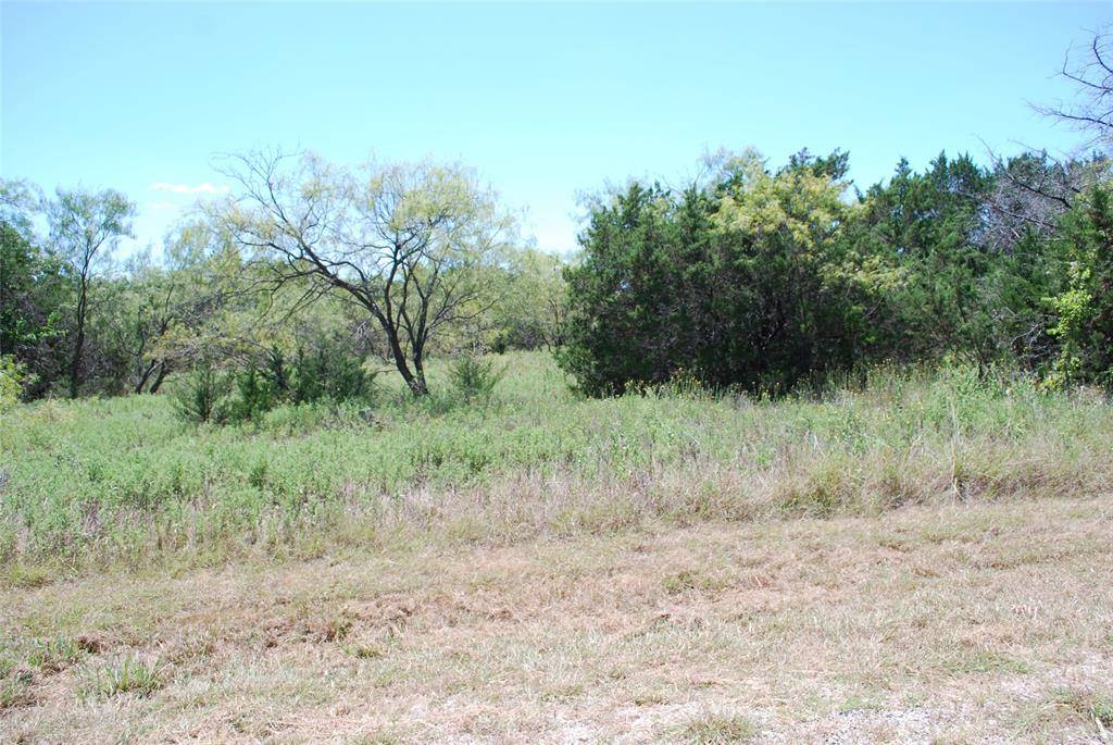 43131 Mountain Sage Drive, Whitney, TX 76692