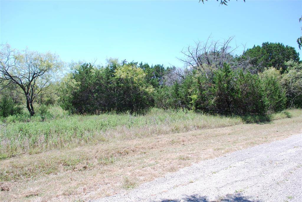 43131 Mountain Sage Drive, Whitney, TX 76692