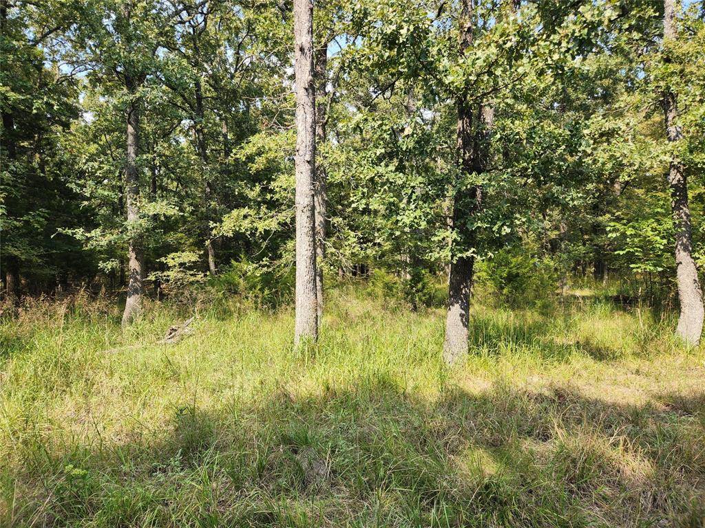 Lot 31 Fox Point Road, Quinlan, TX 75474