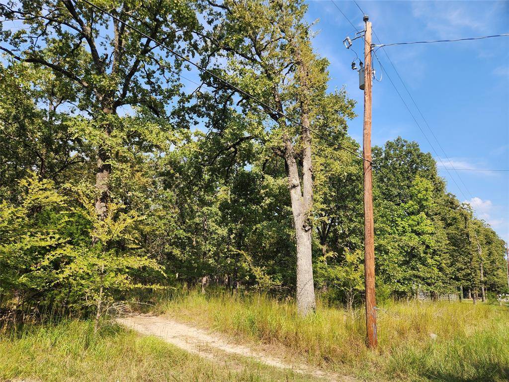 Lot 31 Fox Point Road, Quinlan, TX 75474