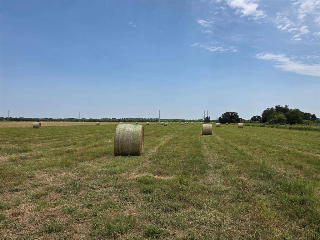 2251 Fm 585, Bangs, TX 76823