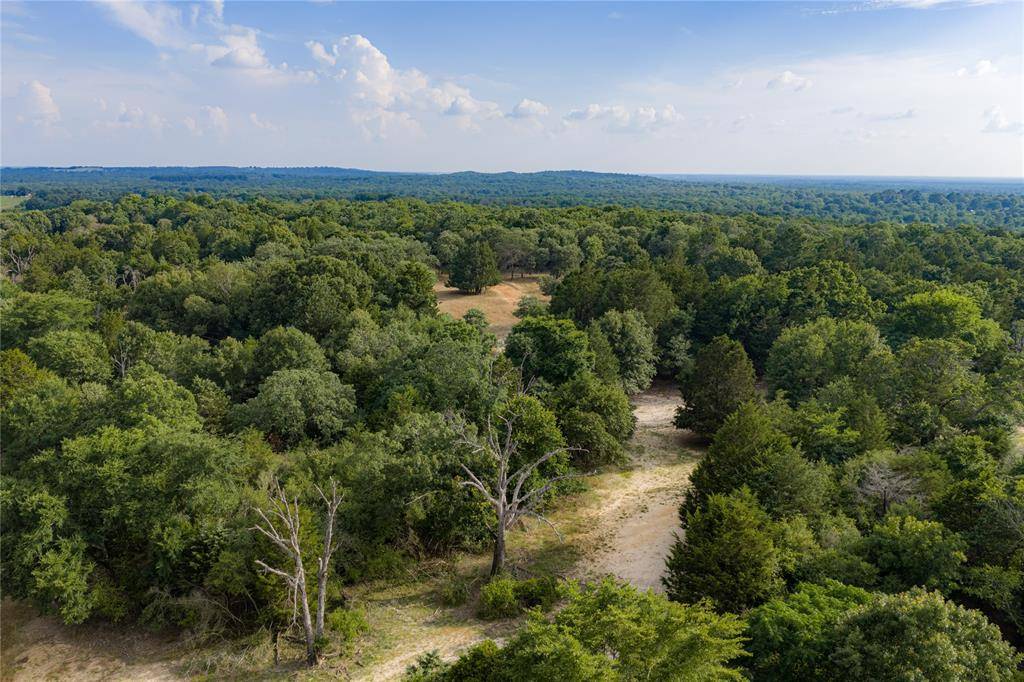 3350 Fm 1256, Eustace, TX 75124