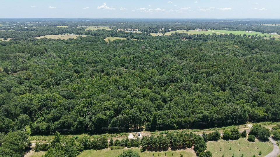 1595 County Road 4112, Canton, TX 75103
