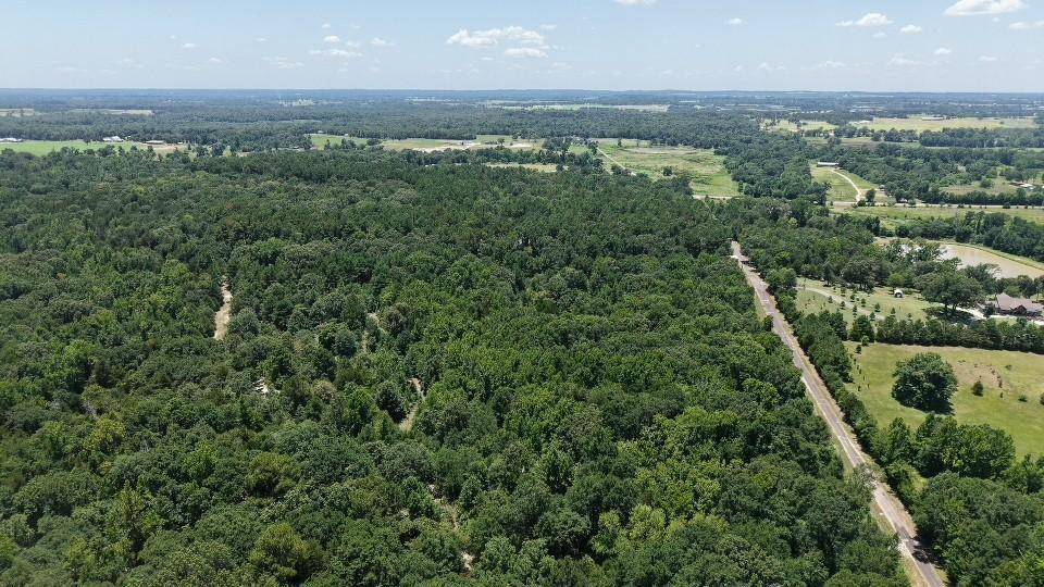 1595 County Road 4112, Canton, TX 75103