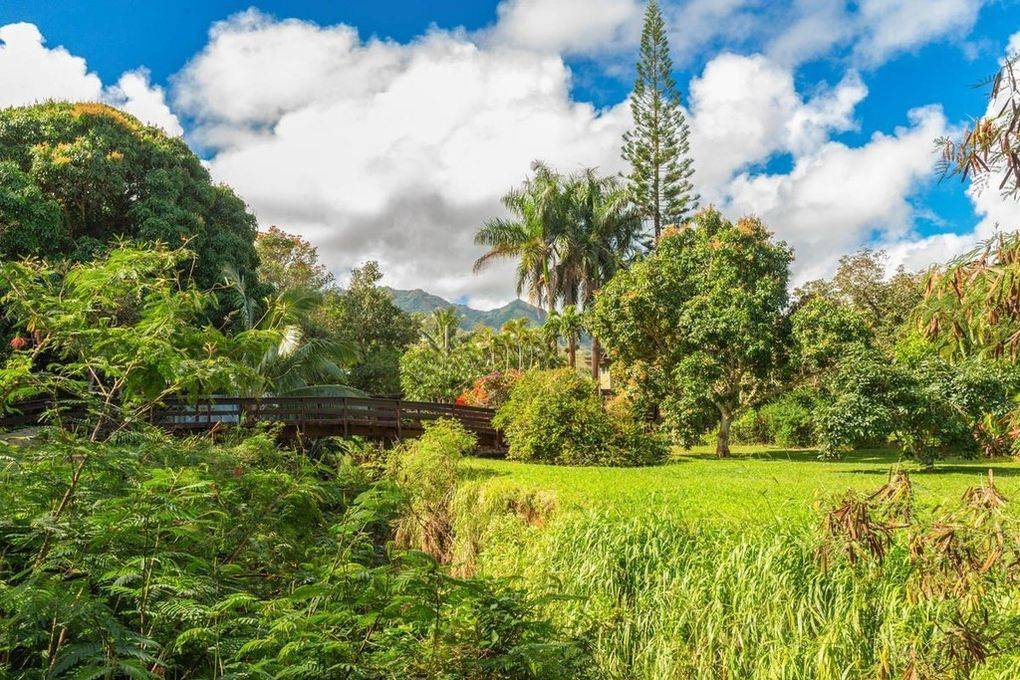 3610 MOLOAA RD #2, Anahola, HI 96703
