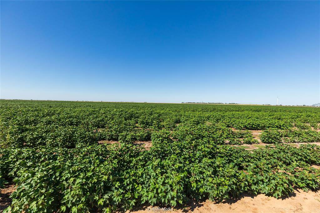 TBD CR 1691, O'brien, TX 79521