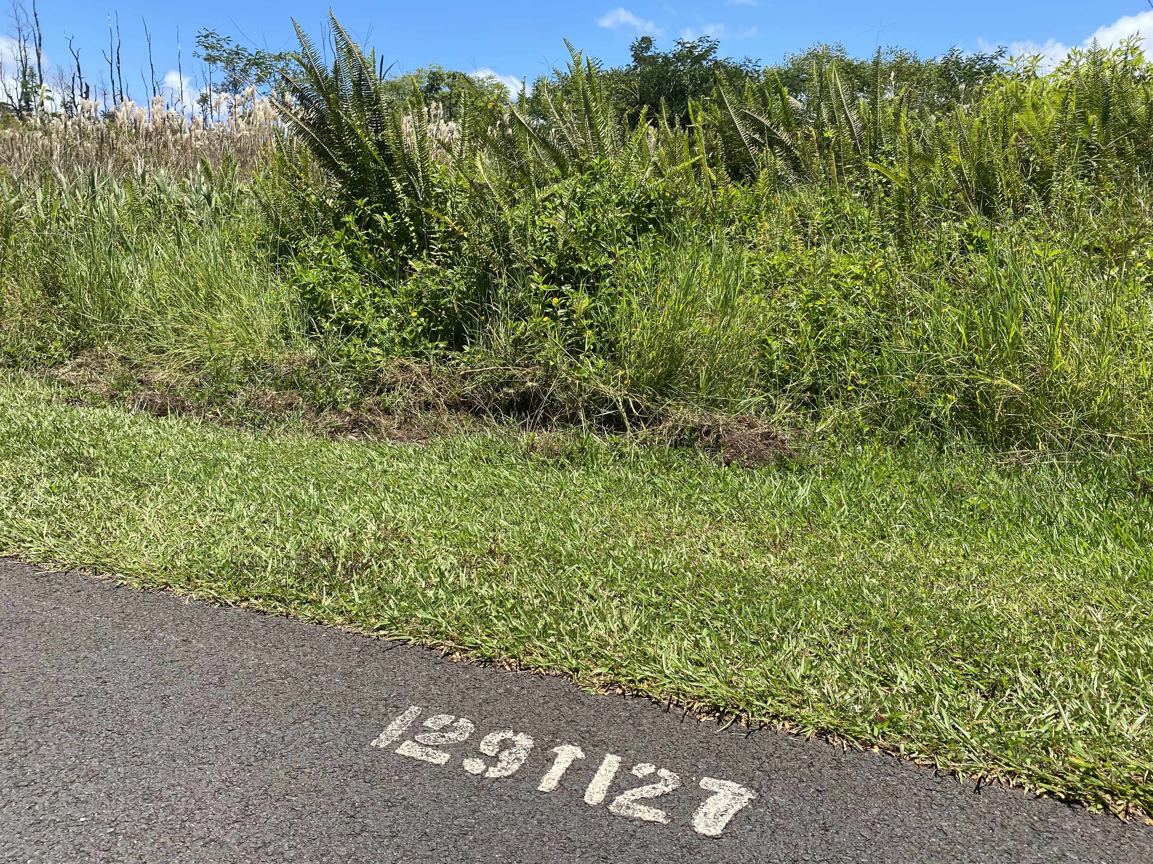 AKU ST, Pahoa, HI 96778