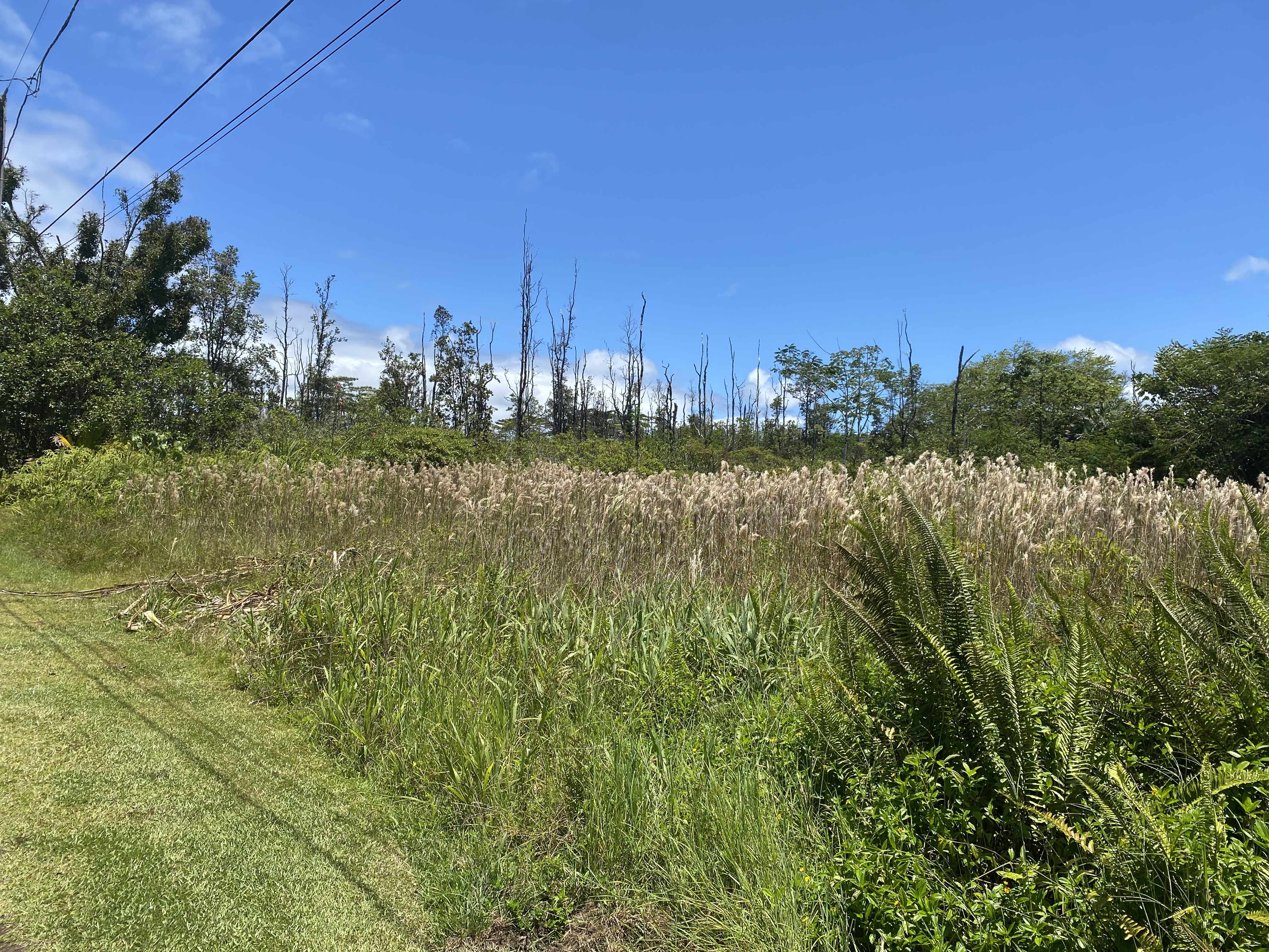 AKU ST, Pahoa, HI 96778
