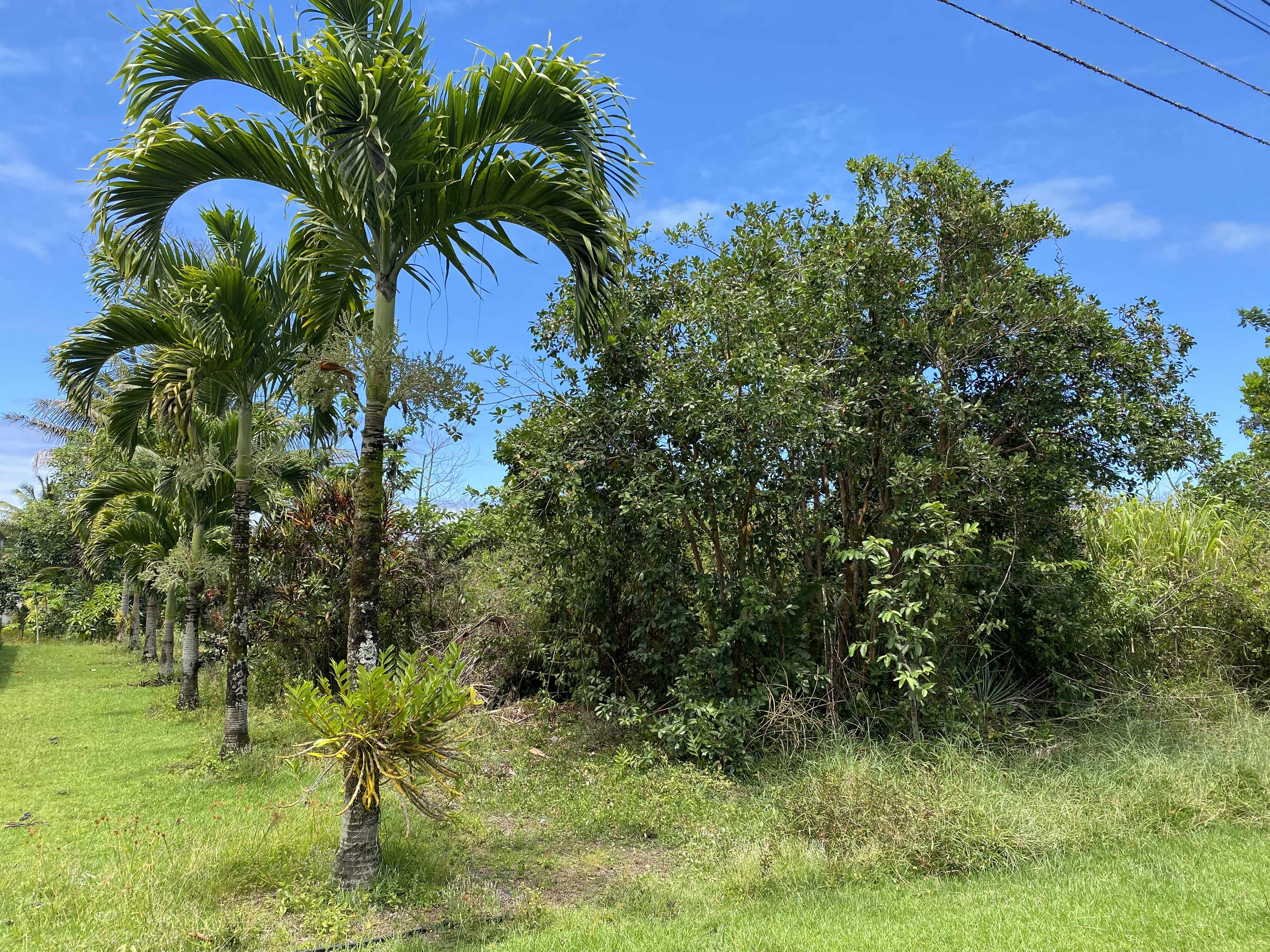 LALAKEA ST, Pahoa, HI 96778