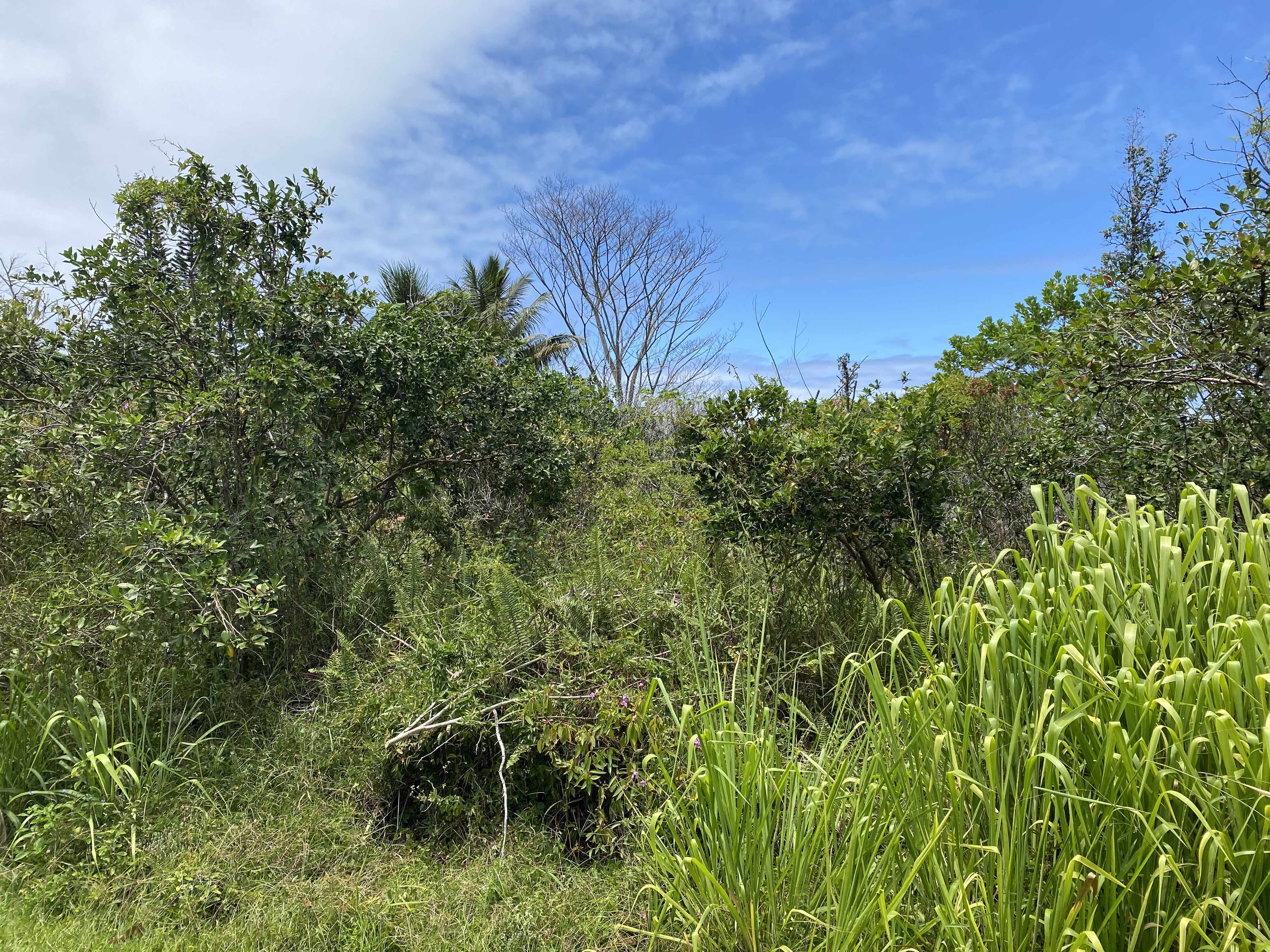 LALAKEA ST, Pahoa, HI 96778