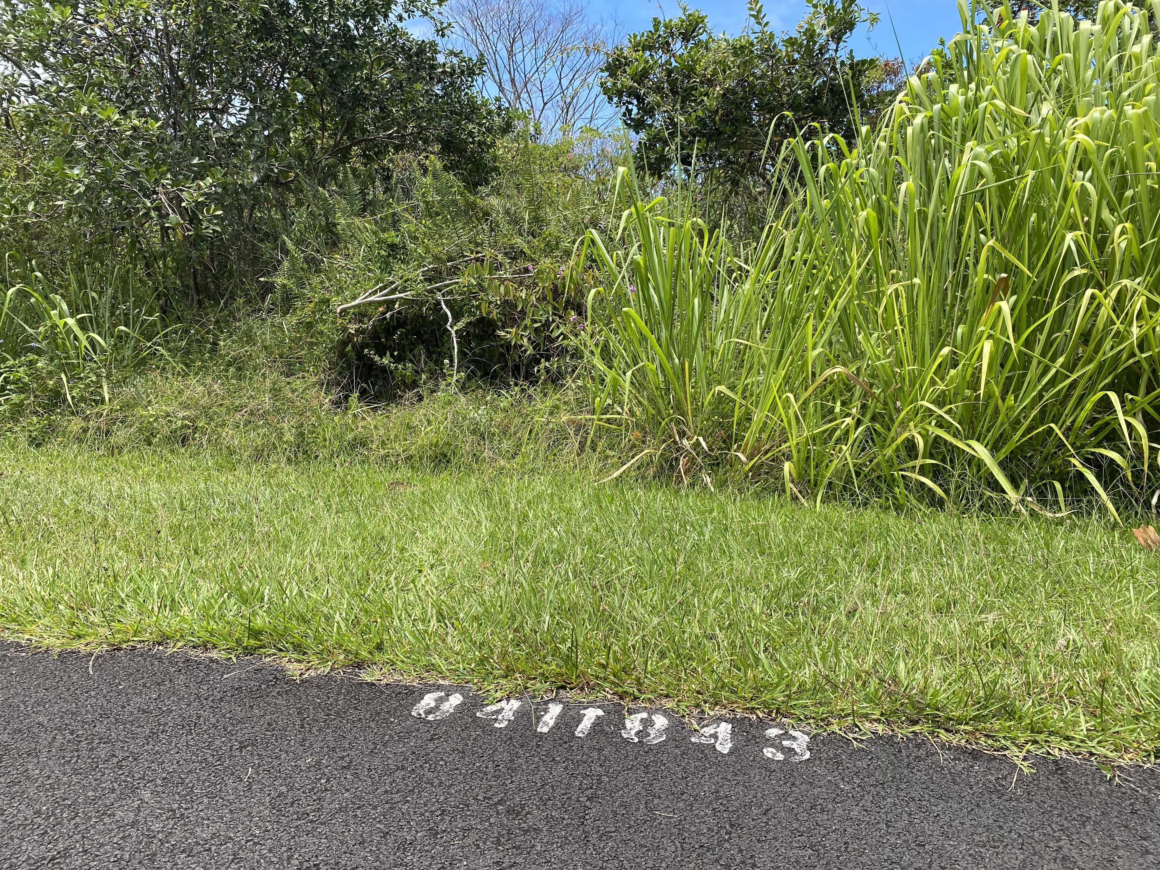 LALAKEA ST, Pahoa, HI 96778