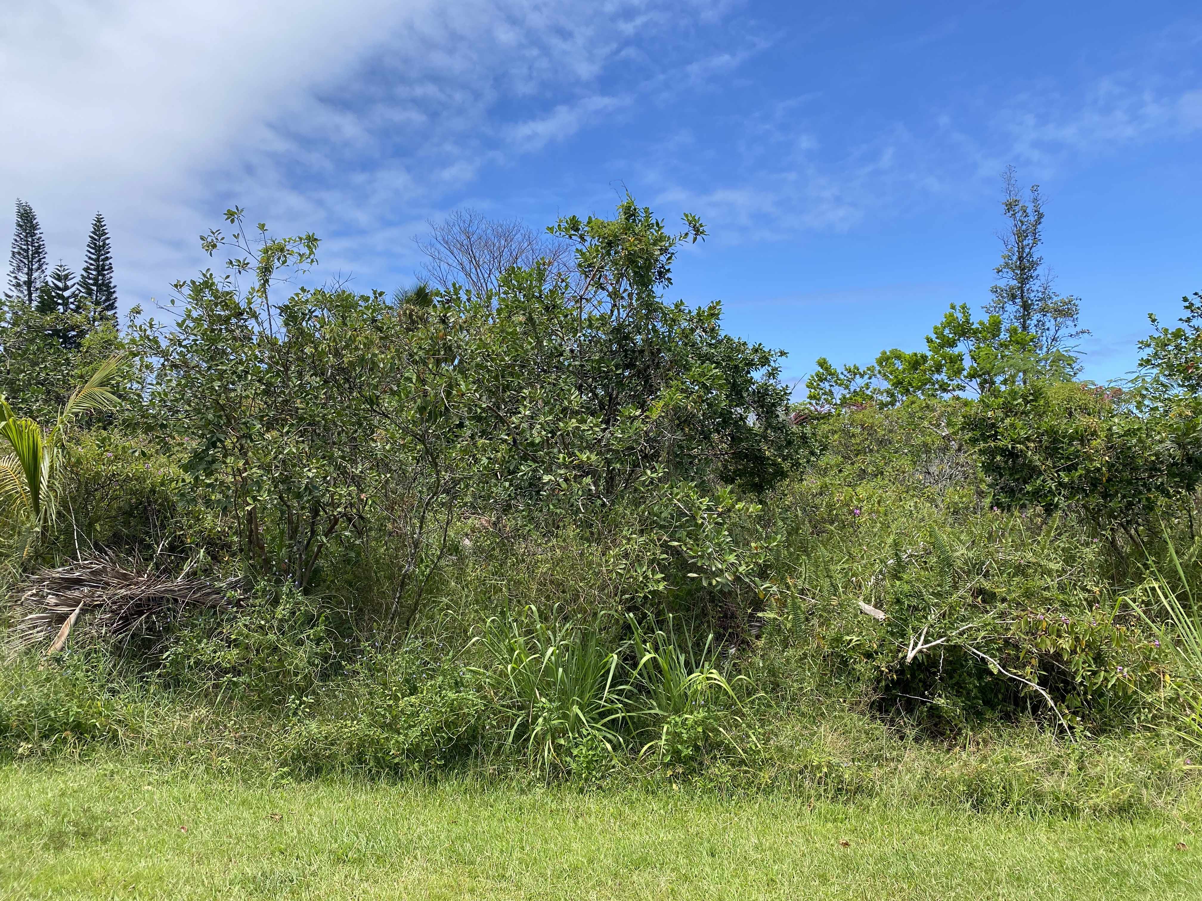 LALAKEA ST, Pahoa, HI 96778
