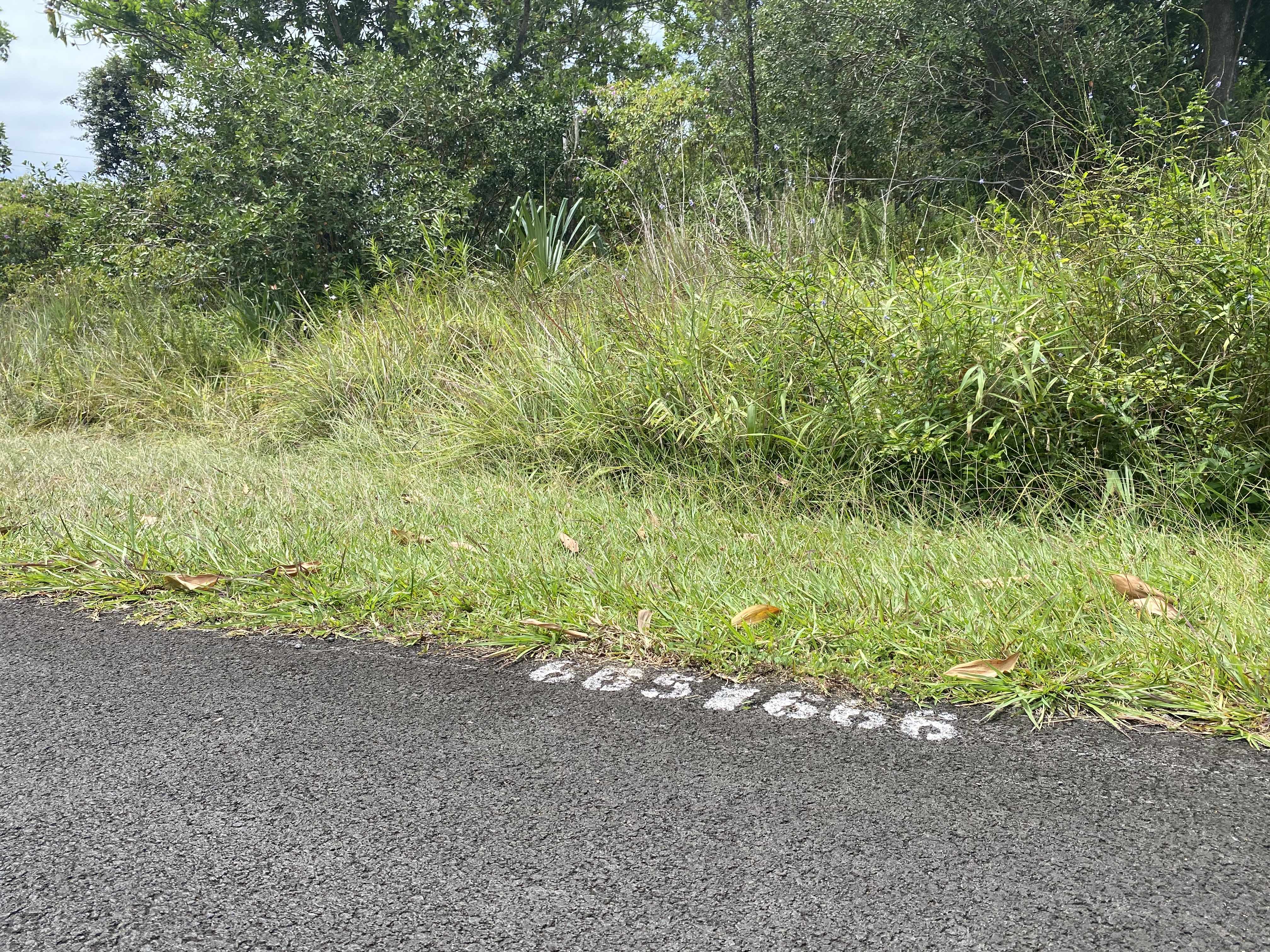 KAHALA ST, Pahoa, HI 96778