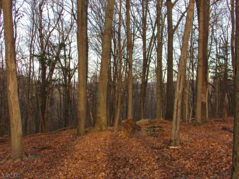 00 Clark Road, Wantage Twp., NJ 07461