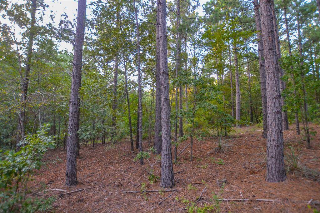 Tract 19 County Road 4224, Frankston, TX 75763