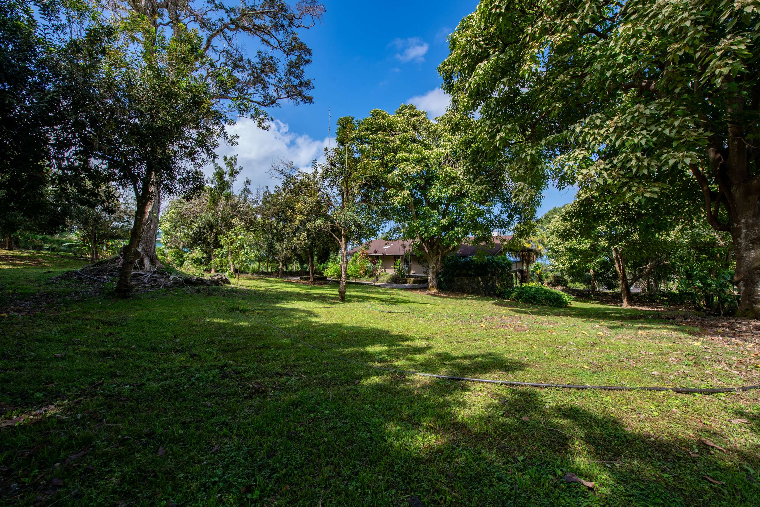 73-4481 OOMA PL, Kailua Kona, HI 96740