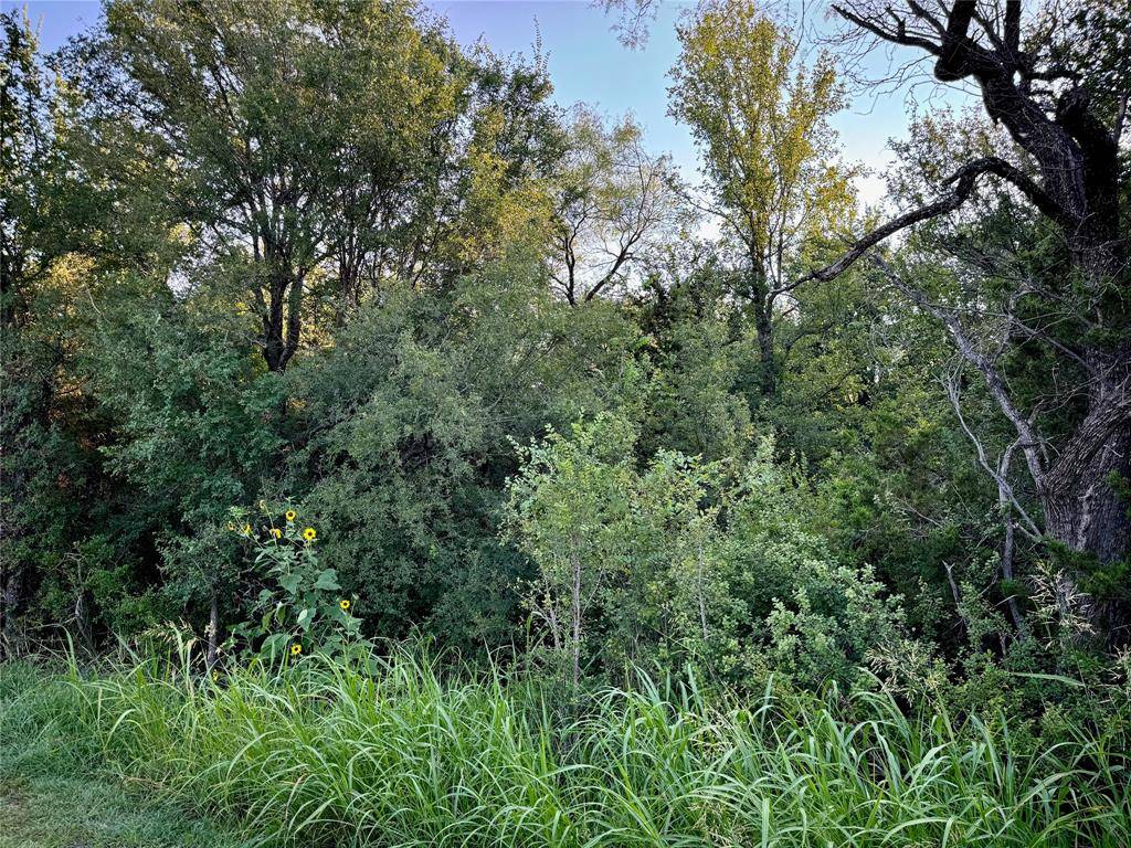 10621 County Road 1240, Cleburne, TX 76033