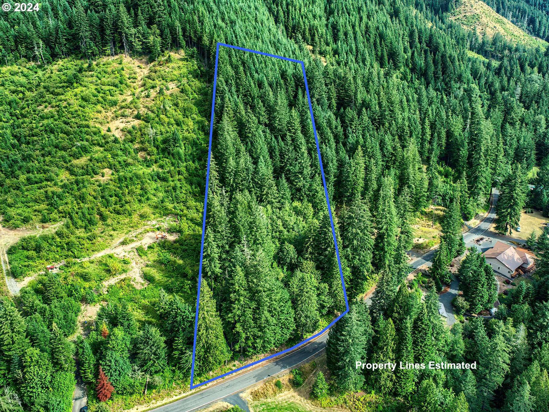 BEAR CREEK RD, Carson, WA 98610