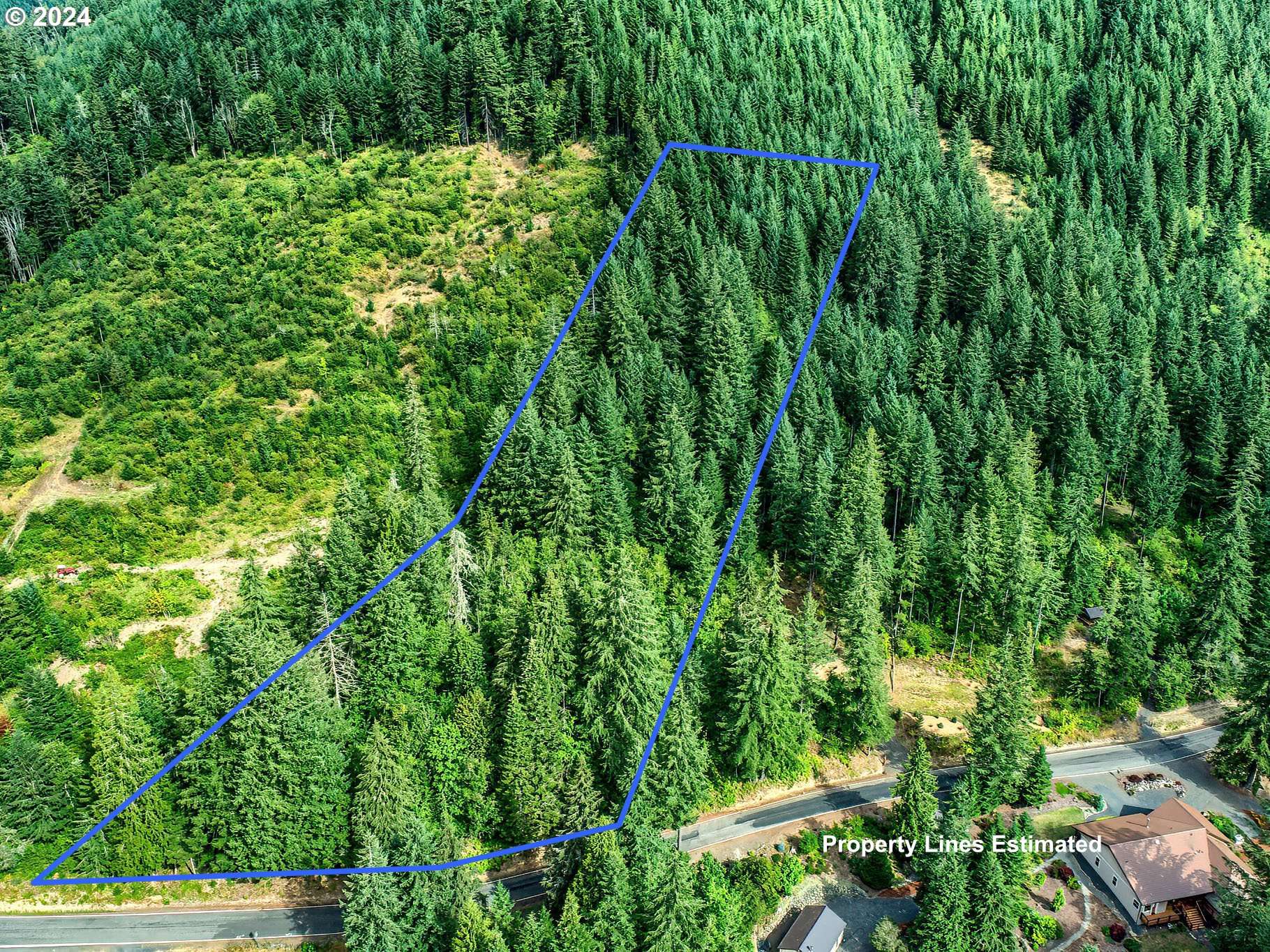 BEAR CREEK RD, Carson, WA 98610