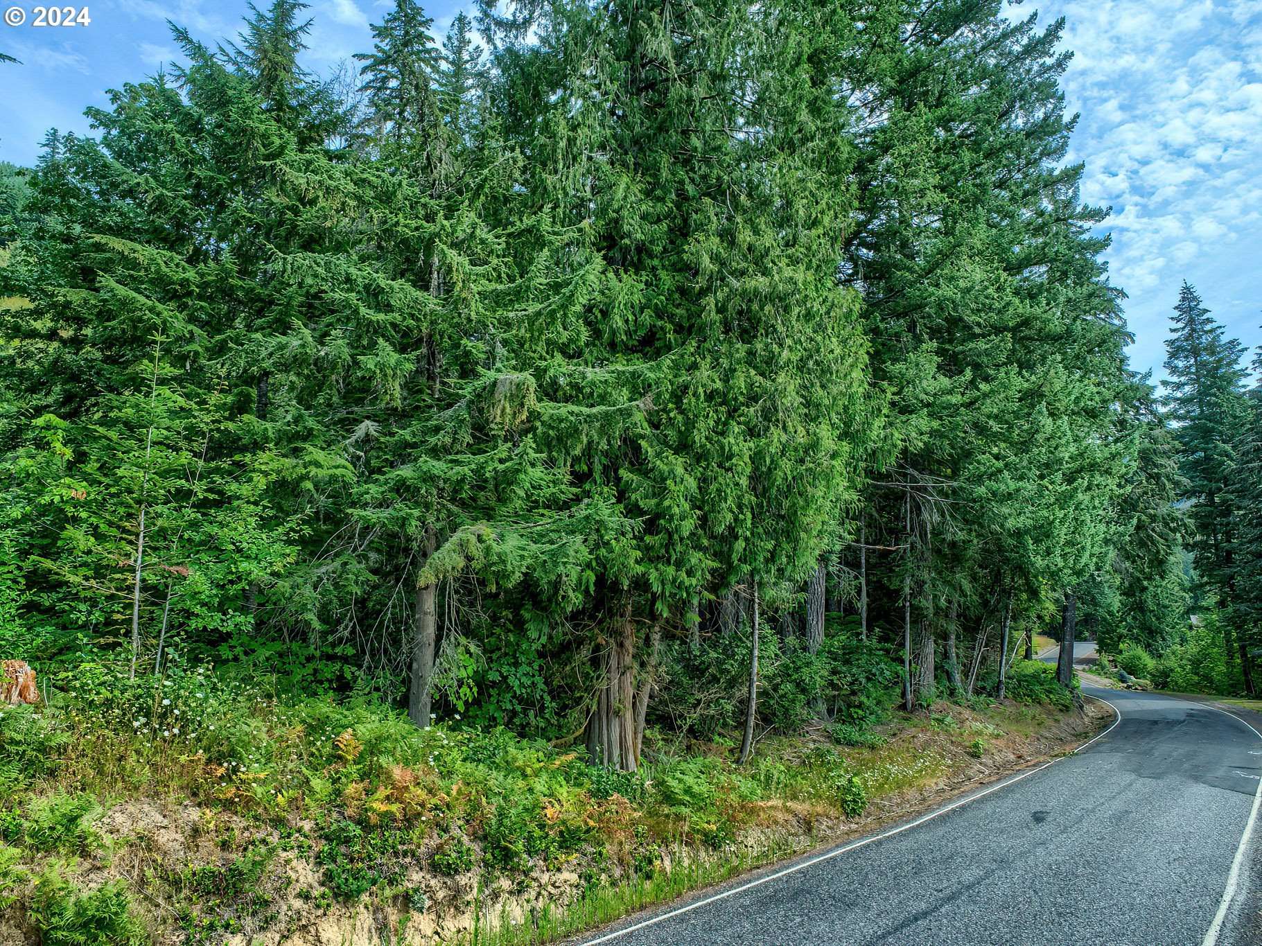 BEAR CREEK RD, Carson, WA 98610