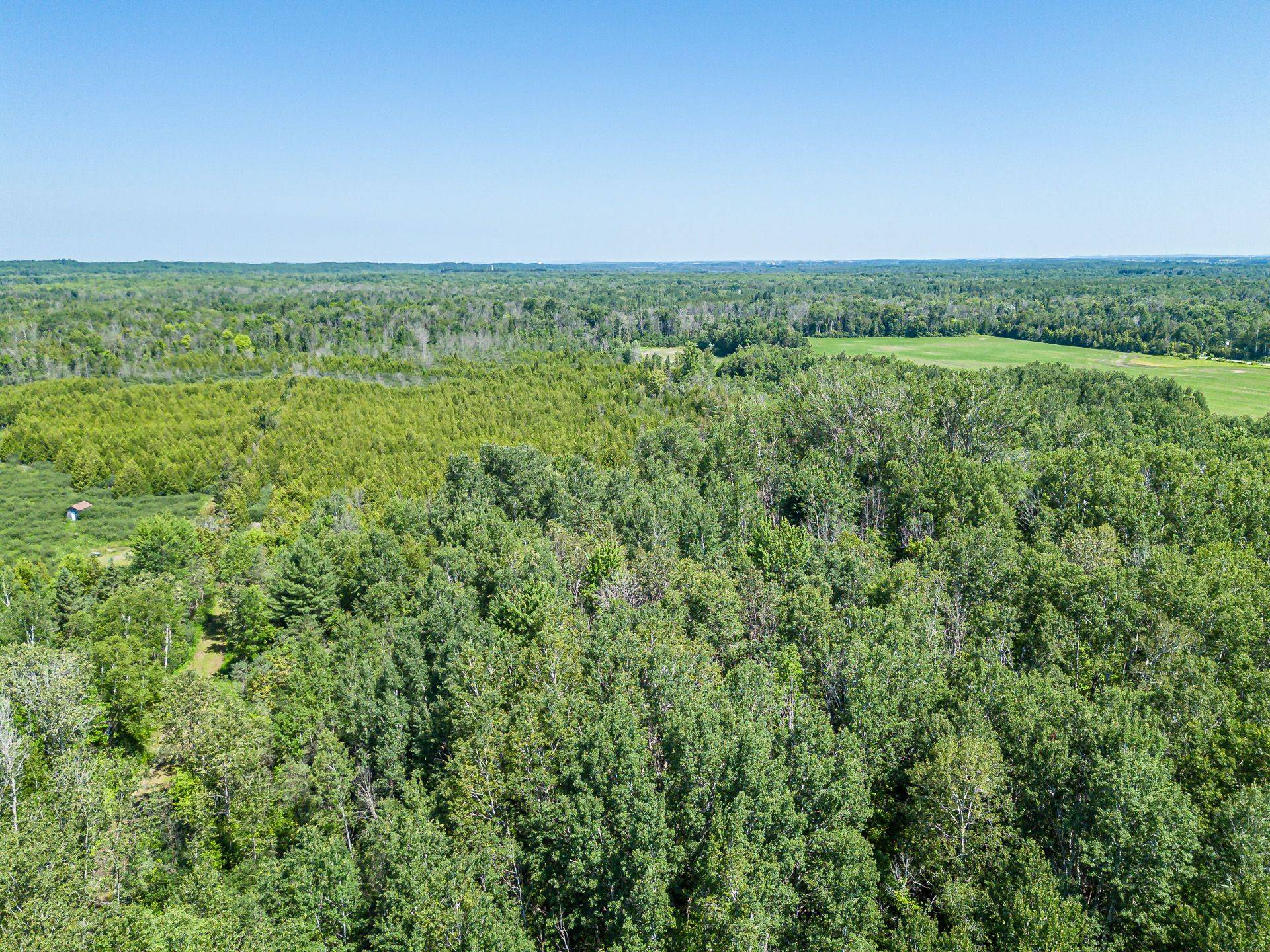 4080 12 Concession, Clearview, ON L0M 1S0