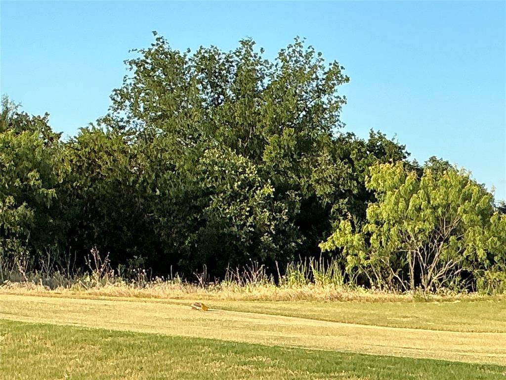 16021 Faircrest Drive, Whitney, TX 76692