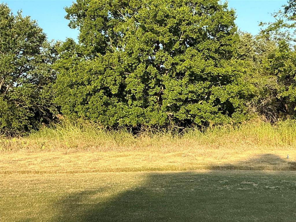 16021 Faircrest Drive, Whitney, TX 76692