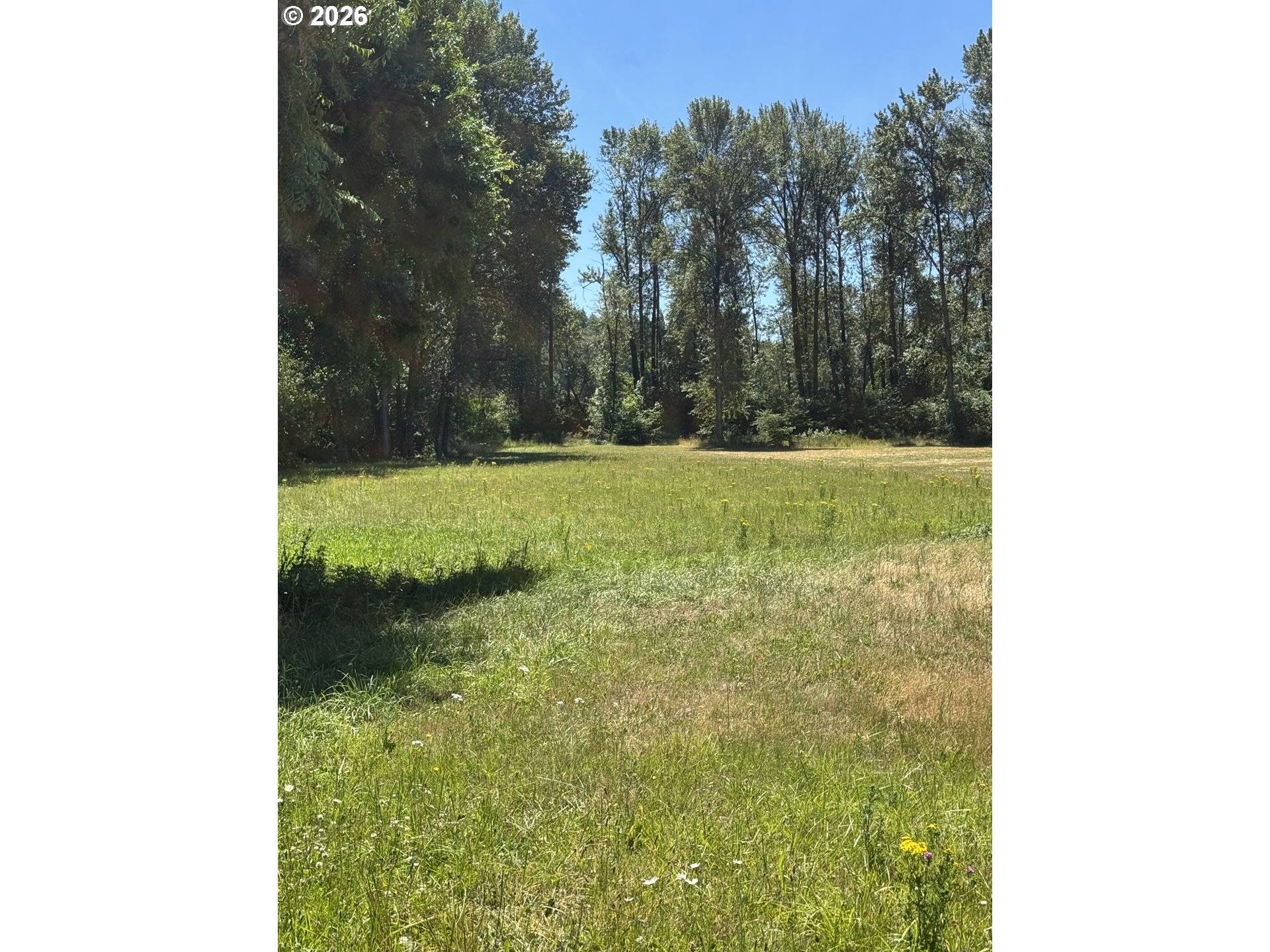 2004 Lewis River RD, Woodland, WA 98674
