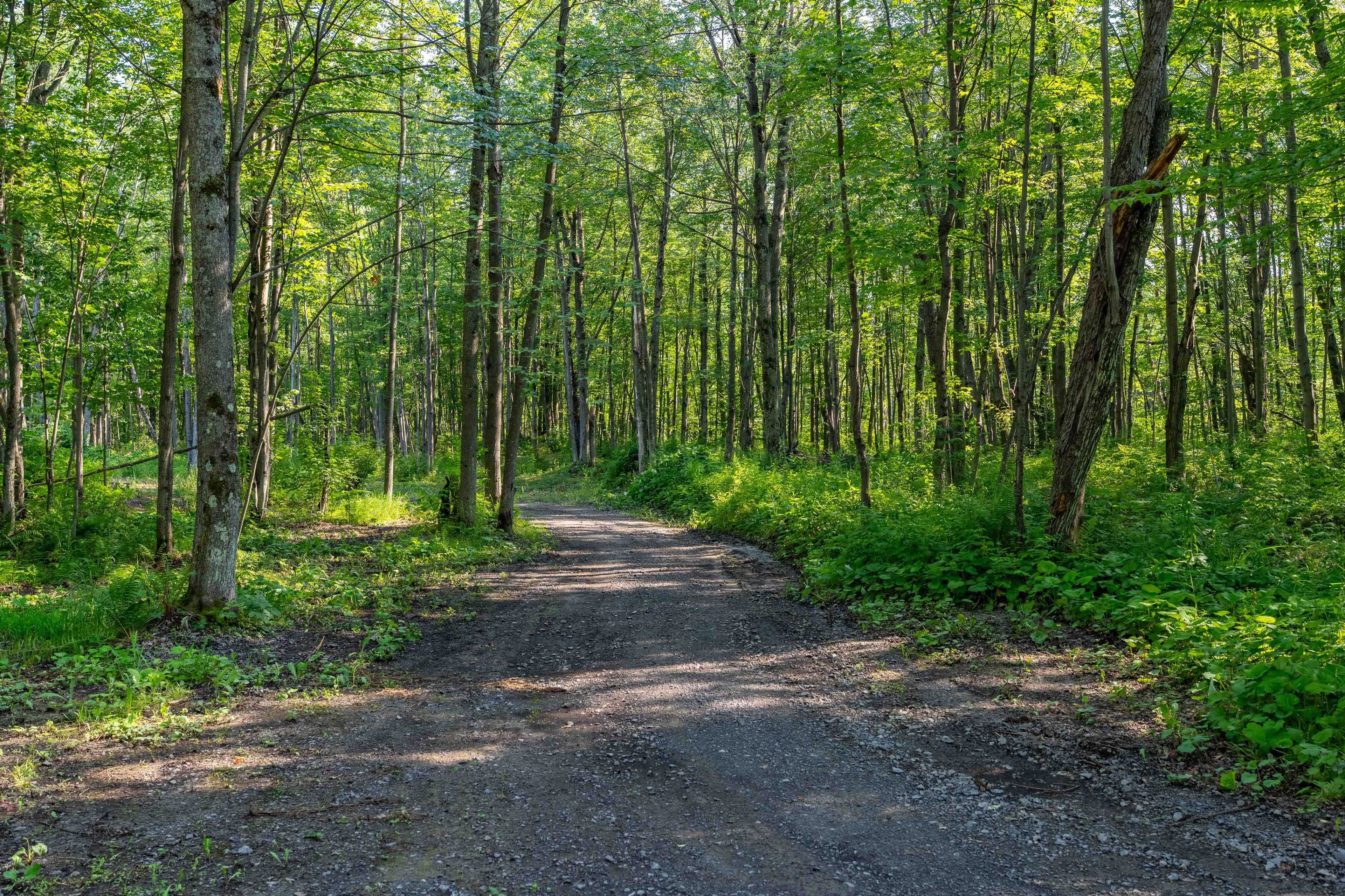 Lot 20 CONCESSION 4 RD, Alfred And Plantagenet, ON K0B 1L0