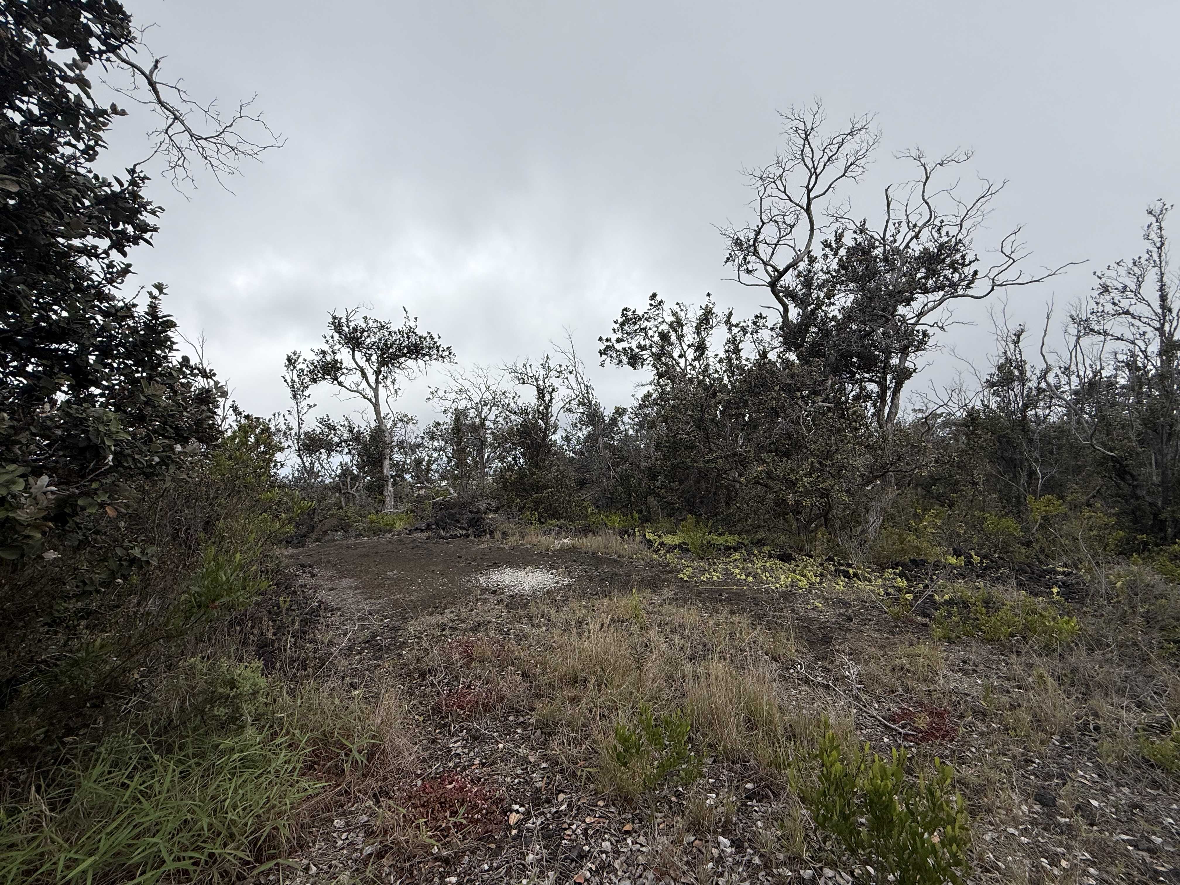 PINEAPPLE PKWY, Ocean View, HI 96737